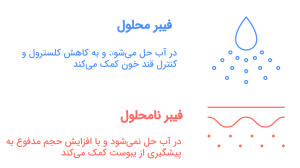 اینفوگرافیک انواع فیبر